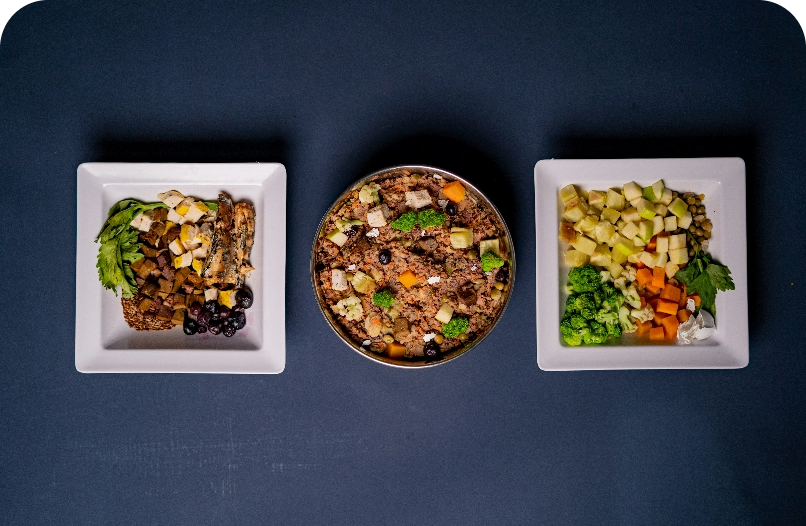 Understanding Pet Food Labels
