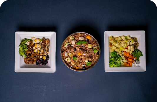 Understanding Pet Food Labels